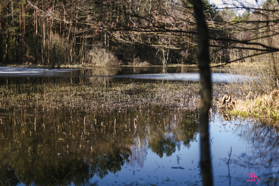 otoczenie Hotelu Natura