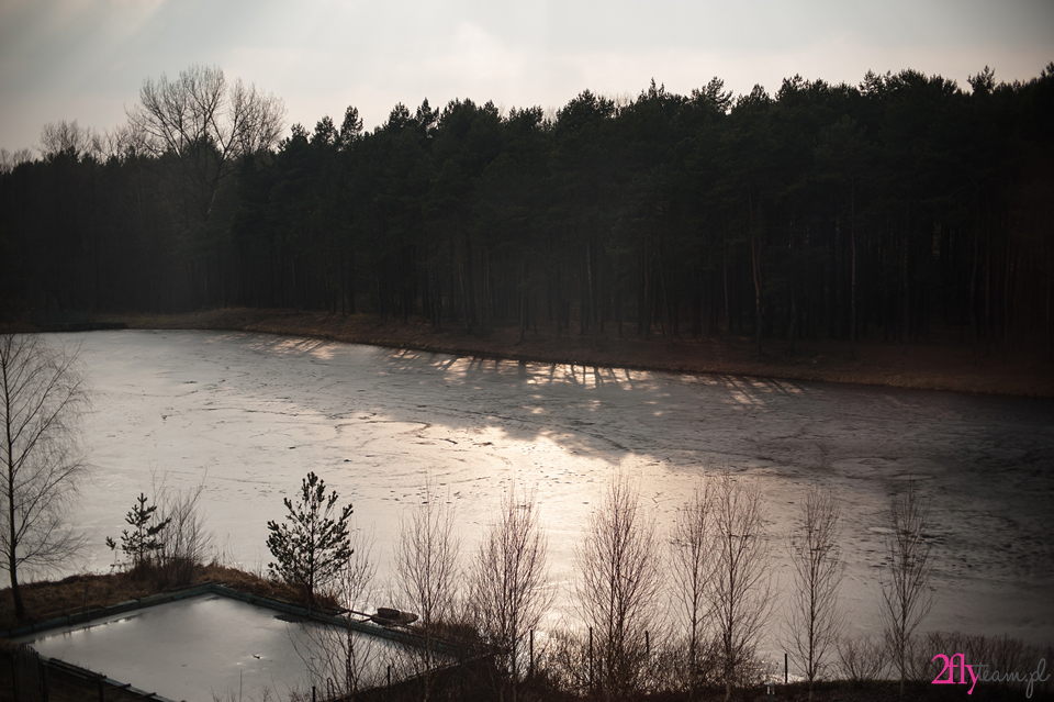 widok z pokoju hotelowego