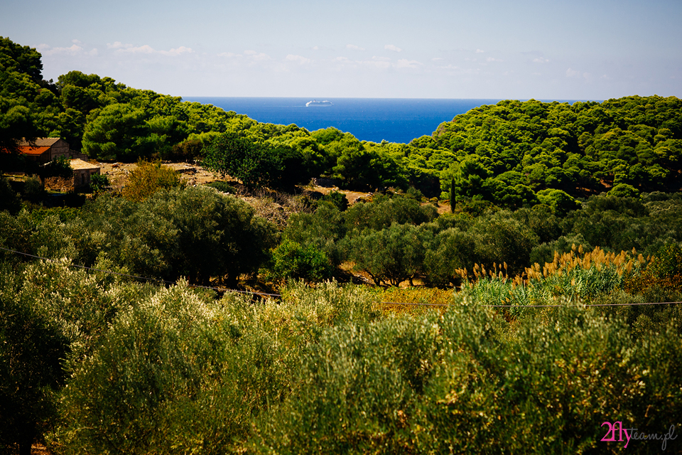 Zante view